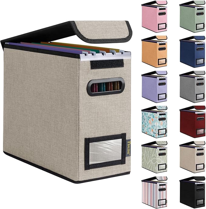BALEINE File Organizer Box with Lid, Collapsible File Folder Organizer with Plastic Slide, Hanging File Folder Box for Office