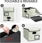 BALEINE File Organizer Box with Lid, Collapsible File Folder Organizer with Plastic Slide, Hanging File Folder Box for Office