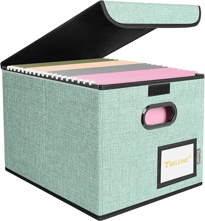 BALEINE File Organizer Box with Lid, Collapsible File Folder Organizer with Plastic Slide, Hanging File Folder Box for Office