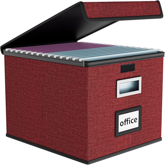 Huolewa File Organizer Box with Lid, Collapsible File Folder Organizer for Office Document Storage, Filing Box with Plastic S