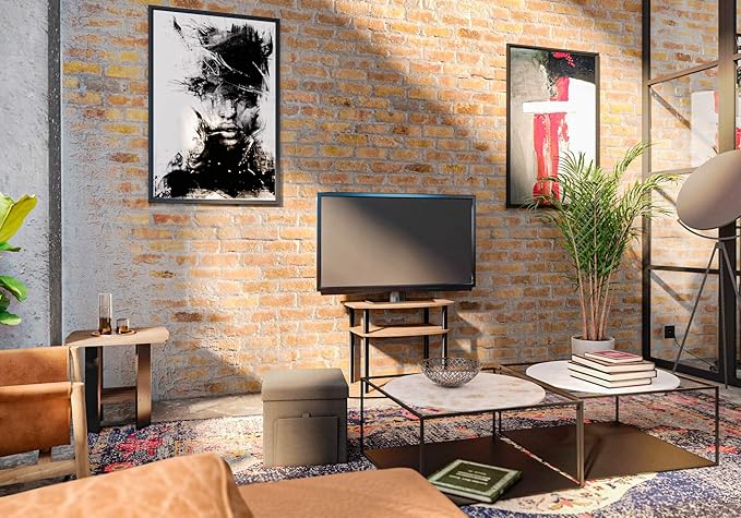 Furinno BASIC Book Shelf, 6-Cube Bookshelf with Open Shelf, 3 x 2 Bookcase with Storage Bins, Closed Back, Horizontal, 11.9 x