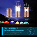 Lichamp LED Camping Lantern, 4 Pack Battery Powered Flashlight for Power Outages, Portable Collapsible Hanging Light Essentia