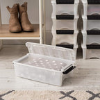 IRIS USA 6 Qt Stackable Plastic Storage Bins with Lids, 10 Pack - BPA-Free, Made in USA - Discreet Organizing Solution, Latch
