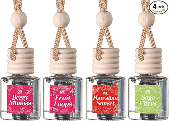CE Craft Hanging Car Air Freshener – Fragrance Oil Diffuser with Essential Oils – Long-Lasting Aromatherapy Scents for Automo