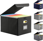 Hleelomi Collapsible File Box with Lid & Plastic Slide - Hanging Document Organizer for Office/Home, 14.96x12.6x10.83 Inch,De
