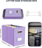 Oterri File Organizer Box with Lid, Hanging Filing File Box with Mesh Pocket, Document Organizer Box for Letter Files, Portab