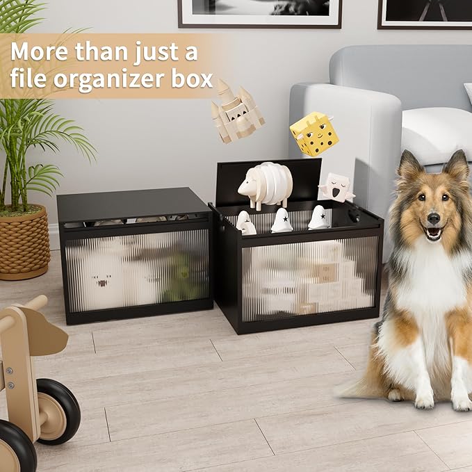 Bamboo Hanging File Boxes with Lids 2 Pack, File Organizer Box for Letter/Legal File, File Box with Hanging Folders Acrylic L