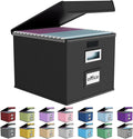 Huolewa File Organizer Box with Lid, Collapsible File Folder Organizer for Office Document Storage, Filing Box with Plastic S