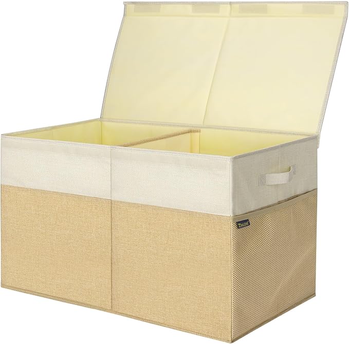 BALEINE Fabric Storage Bins with Lid, Collapsible Extra Large Storage Boxes Bins Baskets with Divider for Home Organizing (25
