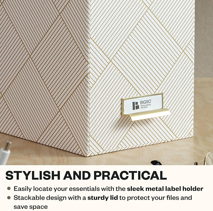 Bigso John Fiberboard Label Frame Desktop File Storage Box - Document Organizer for Important Paperwork - Durable Hanging Fil