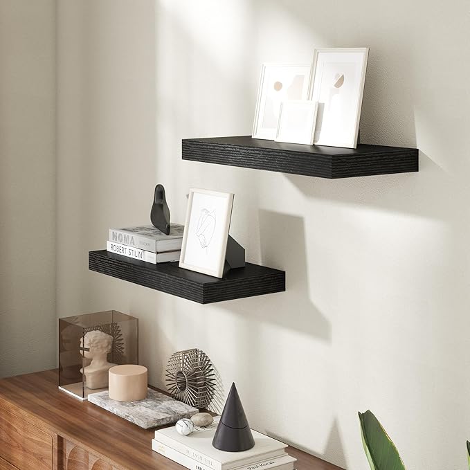20 Inch Floating Shelves for Wall, 8 Inch Deep Floating Shelf for Storage & Display, Rustic Wall Mounted Shelf with Invisible