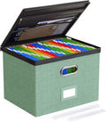Oterri 1 Pack Large File Organizer Boxes with Lids, File Box with Mesh Pockets, Document Organizer Box for Letter/Legal Size 