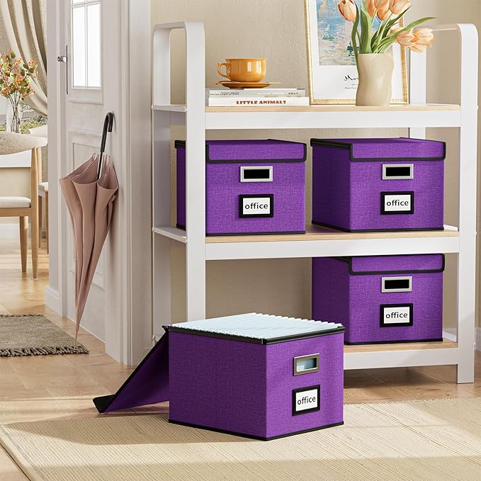 Huolewa File Organizer Box with Lid, Collapsible File Folder Organizer for Office Document Storage, Filing Box with Plastic S
