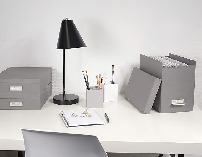 Bigso Box of Sweden File Organiser Storage - Stylish Organiser Box Including 8 Hanging Files - Container for Folders Made of 