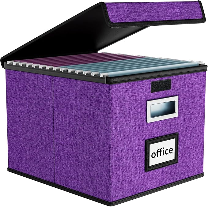 Huolewa File Organizer Box with Lid, Collapsible File Folder Organizer for Office Document Storage, Filing Box with Plastic S