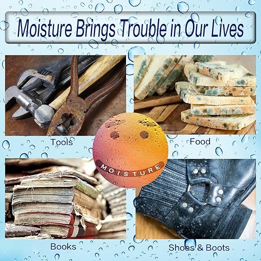 10 Gram Silica Gel Packets, Reusable Desiccant Packs for Storage, Rechargeable Moisture Absorber Food Grade Silica Gel Packs