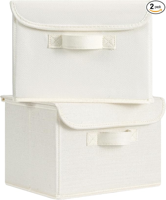 GRANNY SAYS Small Storage Bins with Lids, Small Storage Boxes, Shelf Baskets for Shelf, Collapsible Storage Bins for Living R
