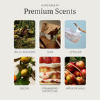 Drift on Amazon Wood Air Freshener Starter Kit- Apple Picking