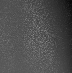 VViViD Smoke Black Crystal Tint Frosted Decorative Two-Way Privacy Window Adhesive Vinyl Film Roll (1.49ft x 5ft)