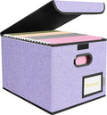 BALEINE File Organizer Box with Lid, Collapsible File Folder Organizer with Plastic Slide, Hanging File Folder Box for Office
