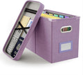Oterri File Organizer with Lid, Hanging Filing Box with Mesh Pocket, Document Organizer for Letter Files, Portable Storage Bo