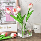 Mototo 4 Pieces Clear Acrylic Pen Holder Acrylic Pencil Cup Makeup Bush Holder Acrylic Desktop Stationery Organizer for Offic