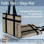 Reusable Grocery Bag (Single) – Durable Reusable Shopping Bag Box. Insulate, Stand Up, Stay Open, Fold Flat – Large Tote Bag with Long Handles & Reinforced Bottom. 2 Year Warranty.
