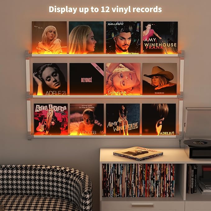 Vinyl Record Shelf Wall Mount with LED Lights, Floating Shelf for Vinyl Record Display, 14-INCH Aluminum Alloy Record Holder 