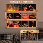 Vinyl Record Shelf Wall Mount with LED Lights, Floating Shelf for Vinyl Record Display, 14-INCH Aluminum Alloy Record Holder 