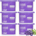 CLEVAST Moisture Absorber Boxes 6 Pack, 12 Oz Dehumidifier for Closet & Bathroom, Humidity Absorber for Wardrobe, Bedroom, RV