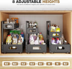 2 Pack 21IN-Depth Under Sink Organizer,Pull Out Cabinet Organizer With Smooth Cylindrical Rail,Metal Slide Out Drawer for Kit