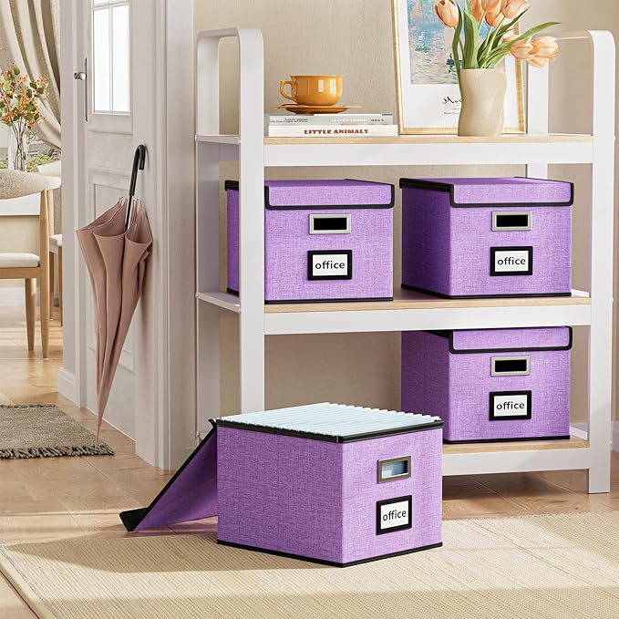 Huolewa File Organizer Box with Lid, Collapsible File Folder Organizer for Office Document Storage, Filing Box with Plastic S