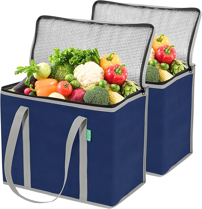 Creative Green Life XL Insulated Reusable Grocery Bags (2-Pack) - Premium Quality Cooler Bags with Hard Bottom Insert, Stands