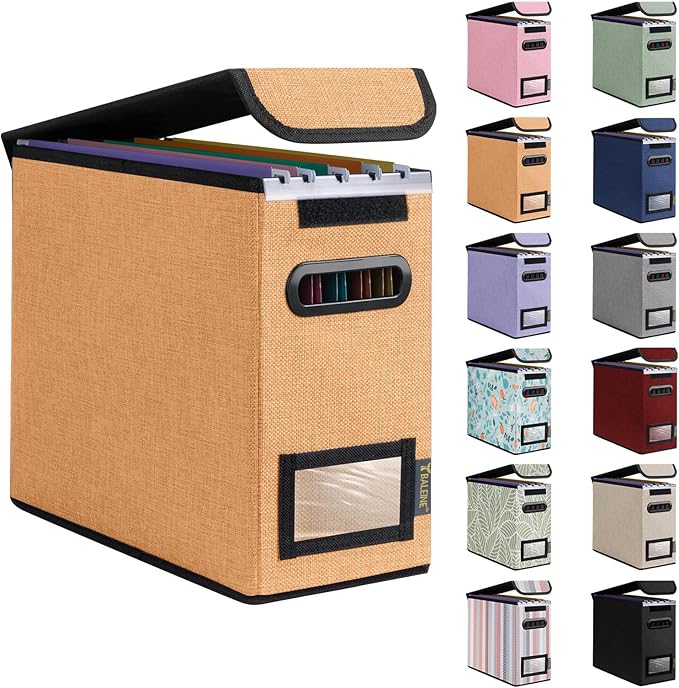 BALEINE File Organizer Box with Lid, Collapsible File Folder Organizer with Plastic Slide, Hanging File Folder Box for Office