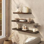 Live Edge Floating Shelf, 40 Inch Rustic Solid Elm Wood - Walnut Brown Finish with Invisible Brackets, Wall Mounted for Livin
