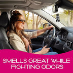 California Scents Palms Ice Paper Car Air Freshener, Pack of 6 x 4 units