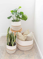OrganiHaus Large Woven Storage Basket for Blankets and Toys 20" x 13" Inch, Rope Laundry Basket with Handles, Cushions & Pill