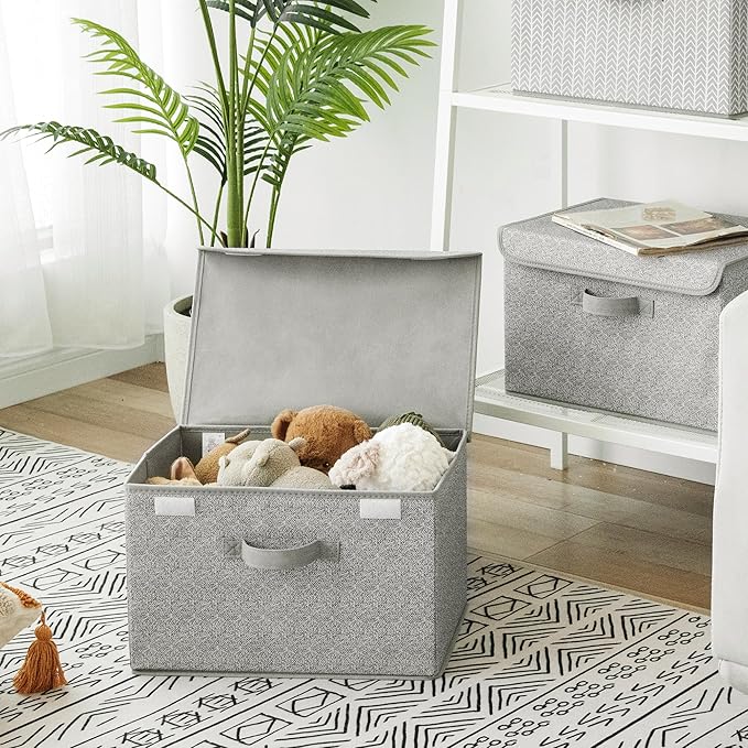 GRANNY SAYS Storage Baskets with Lids, Clothes Storage Boxes, Fabric Storage Bins, Keepsake Box, Closet Organizers and Storag