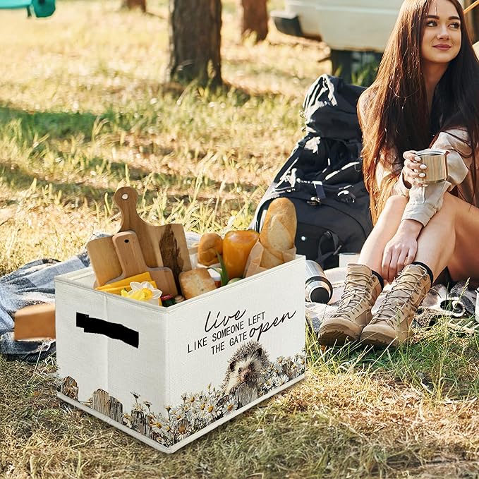 Rustic Hedgehog Storage Bins & Boxes with Handles, Farmhouse Hedgehog Foldable Basket for Organizing, Live Like Someone Left 
