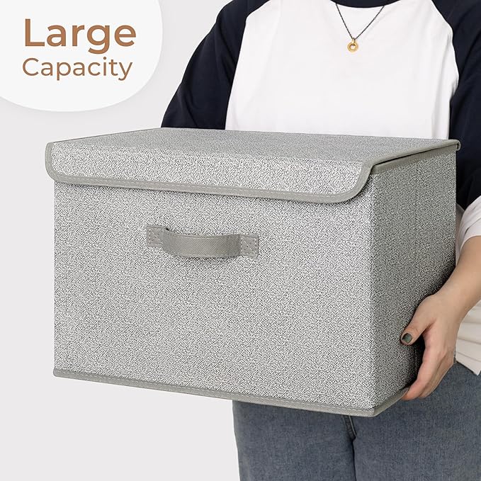 GRANNY SAYS Closet Storage Bins, Storage Boxes with Lids, Clothes Organizing Bins, Lidded Baskets for Toys, Clothing, Gray, E