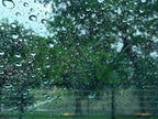 Nanotech Surface Solutions Rain Shield - Windshield Rain Repellent - Increase Visibility & Safety During Rainy Days - Helps C