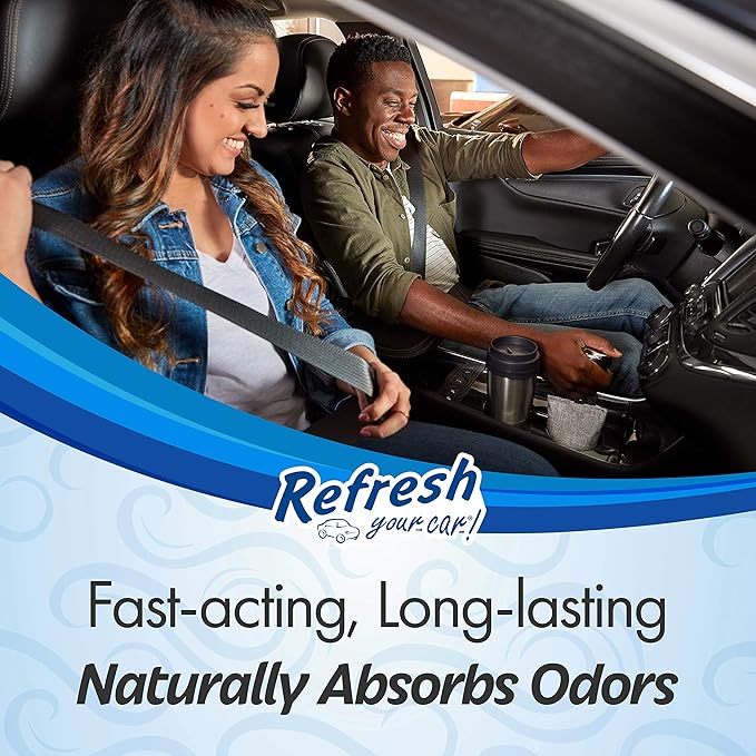 Refresh Your Car! Car Air Freshener And Deodorizer, Odor Eliminator Charcoal Deodorizer Bags, Set Of 2, Fragrance Free