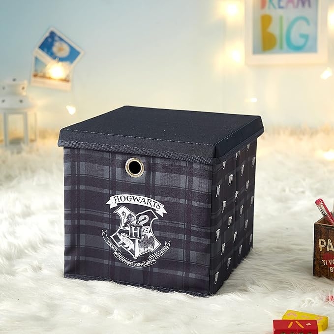 Harry Potter Collapsible Storage Cube with Removable Lid,10” x 10” x 10” Fabric Organizer Bin for Kids Bedroom, Closet or Pla
