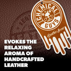 Chemical Guys Hanging Air Fresheners - Leather Scent for Cars, Trucks, SUVs, RVs, Home, Office, Work, Dorm Room, & More - 12 