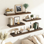 RICHFOCUS Elm Floating Shelves for Wall - 24" W x 9.3" D Rustic Solid Wood Shelves with Invisible Bracket, Wall-Mounted for L