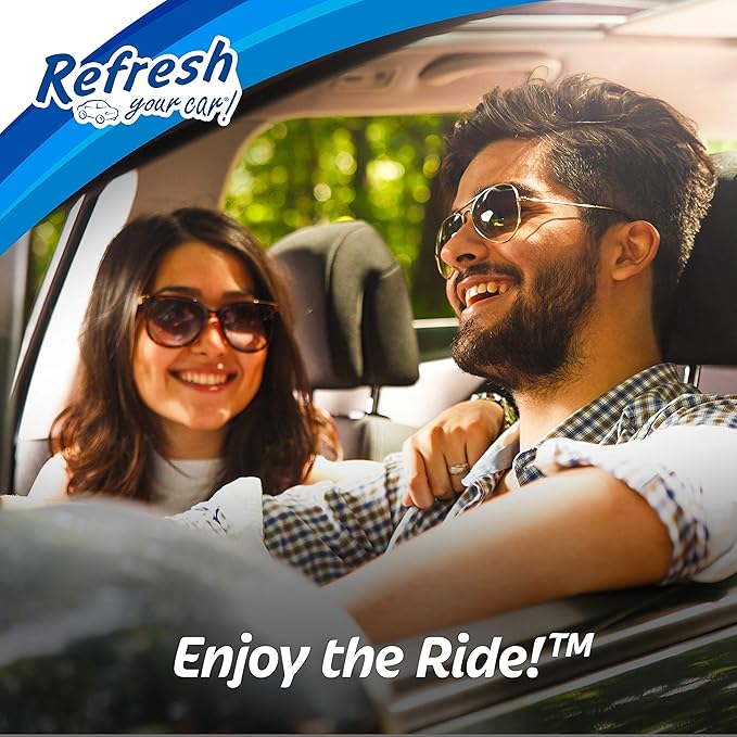 Refresh Your Car! Car Air Freshener And Deodorizer, Odor Eliminator Charcoal Deodorizer Bags, Set Of 2, Fragrance Free