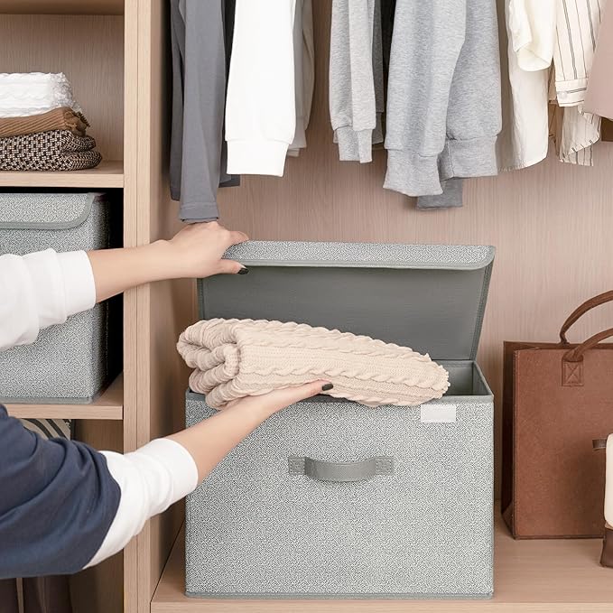 GRANNY SAYS Closet Storage Bins, Storage Boxes with Lids, Clothes Organizing Bins, Lidded Baskets for Toys, Clothing, Gray, E