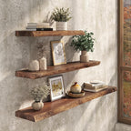 Live Edge Floating Shelf, 48 Inch Solid Elm Wood - Vintage Rustic Wood Wall Shelf with Invisible Brackets for Living Room, Ki