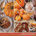 Yankee Candle Car Jar Ultimate, Spiced Pumpkin, 0.96 OZ (Pack of 6)