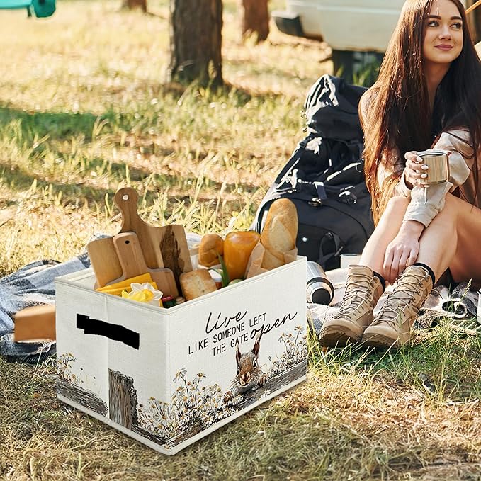 Rustic Squirrel Storage Bins & Boxes with Handles, Farmhouse Squirrel Foldable Basket for Organizing, Live Like Someone Left 